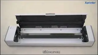 XP-T81