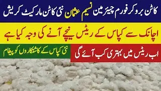 Today cotton price in Punjab