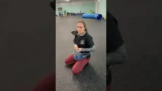 Почему позитивное подкрепление &mdash; ЕДИНСТВЕННЫЙ способ дрессировки собак
