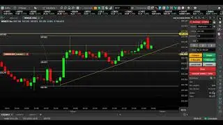 TEXTANDO PROFIT TRADER MODAL GRATIS * OPERANDO NO MINI INDICE * EU ASSISTI O VIDEO &Eacute; UM AUL&Atilde;O *
