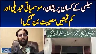 Mailsi Farmers Struggle | Low Vegetable Prices | Climate Change Impact - Aaj Pakistan News