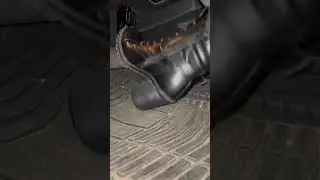 PedalpumpingA Black Heeled Combat Boots