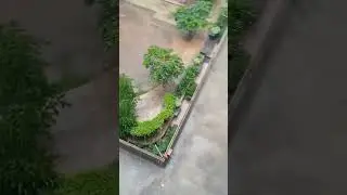# paause🌧️☔