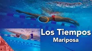 Los tiempos en el estilo de mariposa  Tecnica de principiantes