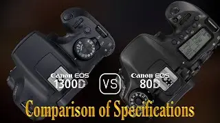 Canon EOS 1300D vs. Canon EOS 80D: A Comparison of Specifications