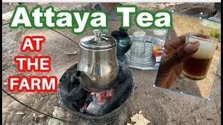 Village Farm cooking: Attaya Tea / Green Tea