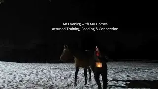 An Evening with My Horses | Attuned Training, Feeding & Connection