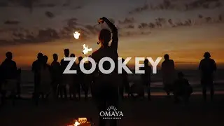 Yves Larock - Zookey (Lift Your Leg Up) (Sixtone Remix)
