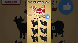 Find correct shadow #gaming #shortsfeed #emojichallenge