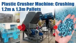 Plastic Crusher Machine | Crushing 1.2m & 1.3m Plastic Pallets into 14mm Output (Customized Model)