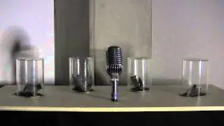 Voicebox