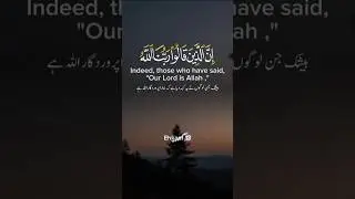 No Fear, No Grief &mdash; The Promise for the Steadfast Believers(Surah Fussilat 41:30)