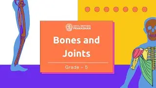 Bones and Joints | Class 5 | Illustrative Series | Goyal Brothers Prakashan