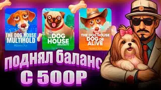 ПОДНЯЛ БАЛАНС С 500Р В СЛОТАХ The Dog House / ЗАКРЫЛ СИНИХ СОБАК / ПОЛЯНА БУДОК! / ЗАНОС!