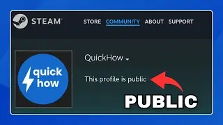 How to Make Steam Profile Public
