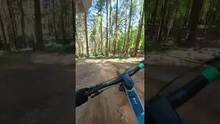Focus Jam mtb #shorts #insta360 #mountainbike #trending