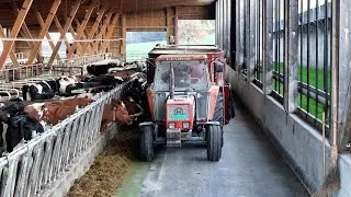 Arbeiten auf dem Bauernhof Leidenberg 🇨🇭🐄🐖🌾