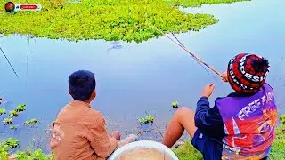 গ্রামের খাল-বিলে বরশি দিয়ে শিং মাছ শিকার😯| Real Village Catfish Fishing|✅