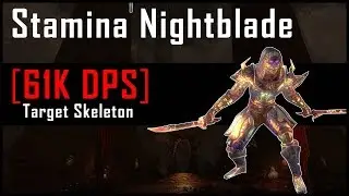 Stamina Nightblade [61k DPS] on 6mil Target Dummy
