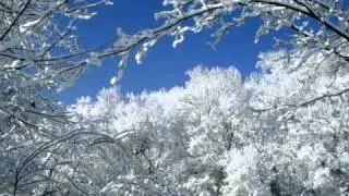 Winter Vivaldi - 4 Jahreszeiten -The Four Seasons