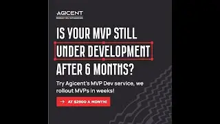 MVP Dev at $ 2900 Monthly by Agicent