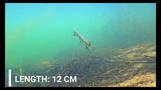 ❌️Quantum 4street ❌️Bangry Zander -upcoming video. Pike✅️Perch✅️ Chub✅️ fishing ❌️
