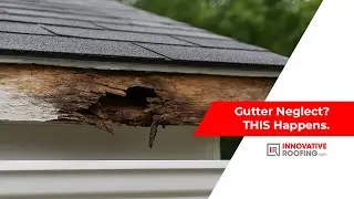 Stop Roof Damage Before It Starts: 4 Gutter Tips Every Homeowner Should Know