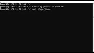 Check my-public IP from VM
