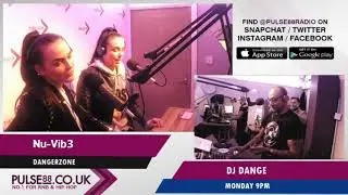 NuVib3 Dangerzone Showcase Pulse88 Radio with Dj Dange