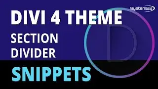Divi 4 Section Divider 😎