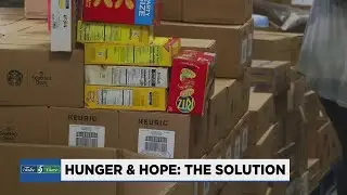 Solutions to ending food insecurity