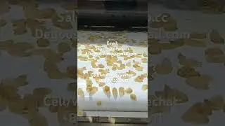 Cornflakes breakfast cereal making machine cereal corn flex processing machine #cornflakes #corn