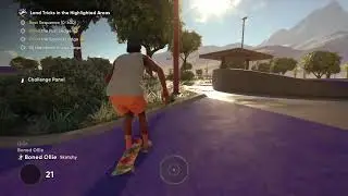 Skate