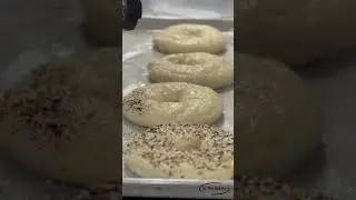 Everything Bagels! #satisfying #stepbystep #madefromscratch #delicious #baking #bagels #thebest