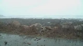 Parts of midcoast Maine see flooding, washouts during storm