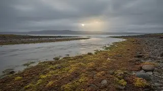 Extraterrestrial biospheres | the kind of alien life we could expect to find
