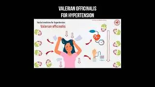 Valerian officinalis for hypertension #valerian #hypertension #medicinalplants #highbloodpressure