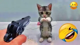 You Laugh You Lose😽Funniest Dogs and Cats 2026😼🐶