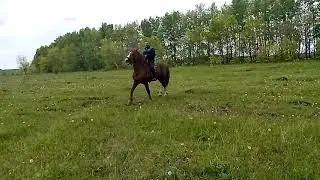 Русский тяжеловоз ч2