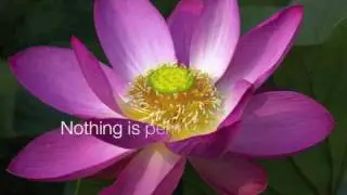 Words of Wisdom from the Heart of a Buddha