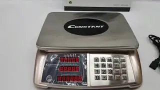 Constant Digital Price Computing Scale