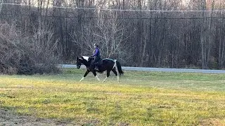 1.8.2024 PIVO Jenna & Dreamer WTC Field Riding CRLU Lesson