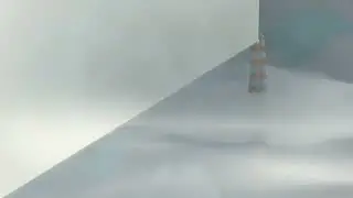 5 Second Comp