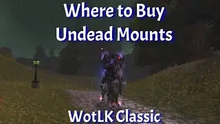 Where to Buy Undead Mounts--Undercity Reputation Guide--WotLK Classic