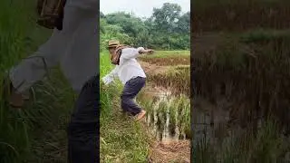 Ceo yang menyamar😂