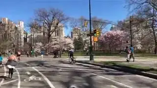 Ride through Central Park - Social Distancing - Solitary Exercise