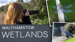 Walthamstow Wetlands, London Birdwatching. Bella uses a DSLR for the first time