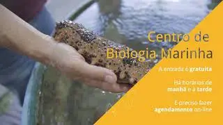 Visite a USP | CEBIMar
