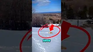Dog Discovers Snow&hellip; and Goes Full Olympic Mode😱