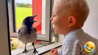 Funny animal video for a great mood! 🐈 Smile! 😺 🙃 Funniest Animals 2025